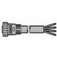 QUAE0001545 UZZ80850D 8040355 PANASONIC 5 m sensor cable with M8 connector, straight, 4 pin