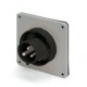 247.730976 SCAME Base del connettore 3P + N + T 30A IP67 7h