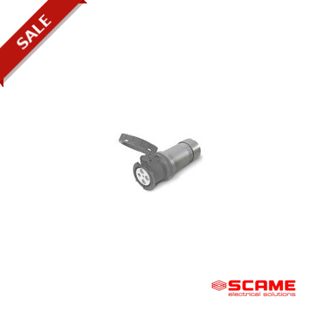 315.76043 SCAME + T PROLONGADOR 2P IP67 60A 6h 200-250V AC