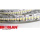 LEDT192HIP20WW ROBLAN Bande de LED 19,2W IP20 24V Blanc Chaud 982lm SMD3528 240 LED/m (bobine de 5 mètres) (..