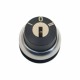 M22S-WRS-MS*-A1 217441 Y7-217441 EATON ELECTRIC seletor de chave, 2 posições, bloqueando