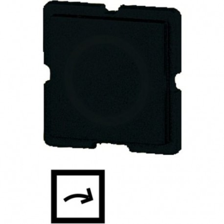 911TQ25 093100 EATON ELECTRIC Button plate, arrow symbol