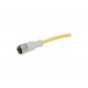 CSDS4A3CY2205 136288 EATON ELECTRIC Connection cable, 4p/3Ltg, DC current, coupling M12 flat, open end, L 5m