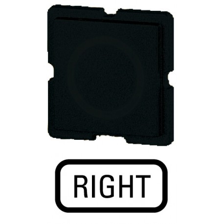 235TQ25 091009 EATON ELECTRIC Button plate, black, RIGHT
