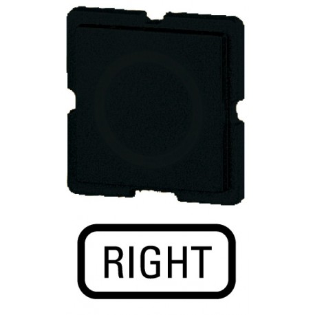 235TQ25 091009 EATON ELECTRIC Étiquette, noire, RIGHT