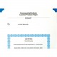 LIC-OPT-3RD-LEVEL 140393 Y7-140393 EATON ELECTRIC Licenza comunicazione 160 punti, per XV