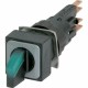 Q18LWK1-GN/WB 038883 Y7-38883 EATON ELECTRIC Selettore luminoso, 2 posizioni, verde, ad impulso, +lampada a ..