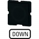 273TQ25 091152 EATON ELECTRIC Tastenplatte, schwarz, DOWN