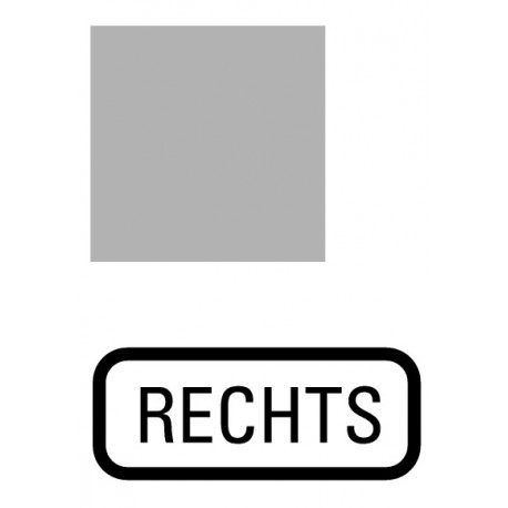 135LQ25 091477 EATON ELECTRIC Placa indicadora Transparente Inscripción: RECHTS Para RMQ16 25x25
