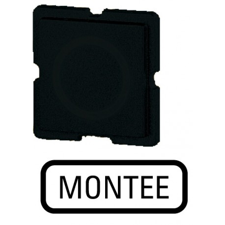 372TQ25 092711 EATON ELECTRIC Button plate, black, MONTEE