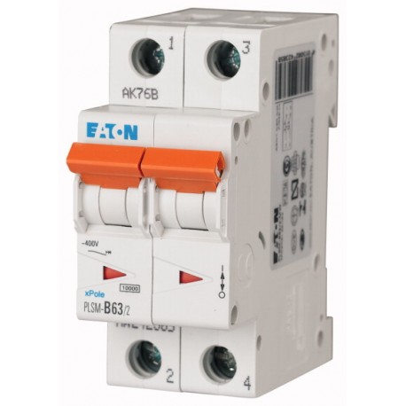 PLSM-D63/2-MW 113099 Y7-113099 EATON ELECTRIC Disjoncteur modulaire 63A 2p car. D