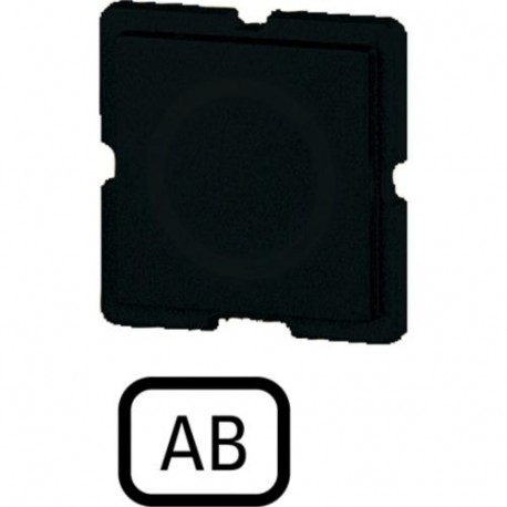 173TQ25 090822 EATON ELECTRIC Button plate, black, AB