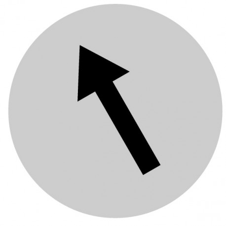 M22-XDL-W-X8 218306 M22-XDL-W-X8Q EATON ELECTRIC Button lens, flat white, arrow symbol
