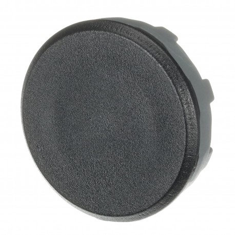 1SFA611920R8130 ABB BLANKING PLUG