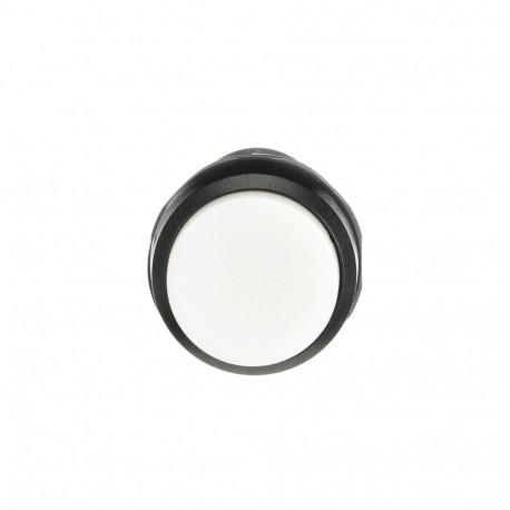1SFA619102R1015 ABB PULSANTE CP3-10W-10