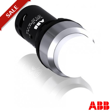 CP3-30W-20 1SFA619102R3025 ABB TAST CP3-30W-20