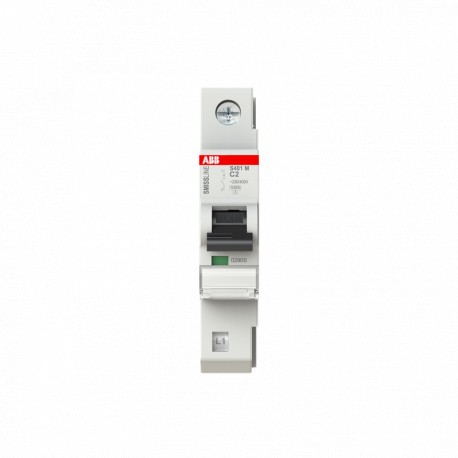 2CCS571001R0024 ABB SMISSLINE-I.Aut S401M C 2 A