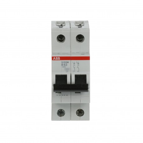 2CDS272001R0635 ABB Int.aut. S202M-B63 2p 63A B 15kA