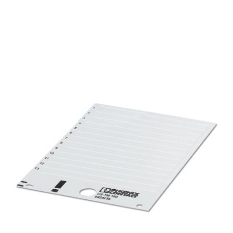US-TM 100 CUS 0829948 PHOENIX CONTACT Segnamorsetti