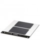 LS-EMSP-AL (110X80) BK CUS 0831917 PHOENIX CONTACT Identificador de equipamentos