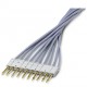 SPB 10-MKDSP 1301355 PHOENIX CONTACT Accessoires