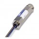 S-PT-EX(I)-24DC-1/2" 2882572 PHOENIX CONTACT Dispos. protez. contro le sovratensioni