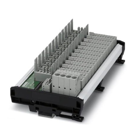 CBB 12 2X6RC-PT 2905241 PHOENIX CONTACT Placas de interruptor de protección de equipos para doce interruptor..