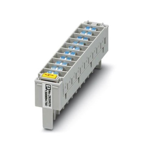 CT 10-2/2-GS/3E-110AC 2920829 PHOENIX CONTACT Magazin