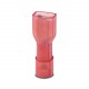 C-SCFFI 1,5/4,8X0,8 3240537 PHOENIX CONTACT Hembra de enchufe plano, aislada, roja, 0,5 ... 1,5 mm2, para co..