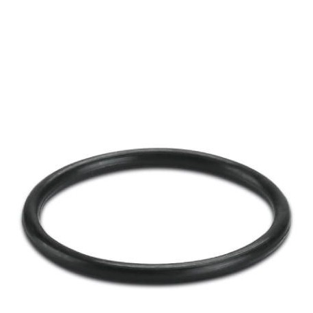 WP-OR PG21 3241198 PHOENIX CONTACT Gasket