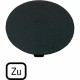M22-XDP-S-D2 218272 M22-XDP-S-D2Q EATON ELECTRIC M22-XDP-S-button placa D2Q, cogumelo preto, AL
