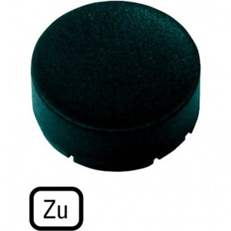 M22-XDH-S-D2 218229 M22-XDH-S-D2Q EATON ELECTRIC M22-XDH-S D2Q botão prato, levantou preto, AL