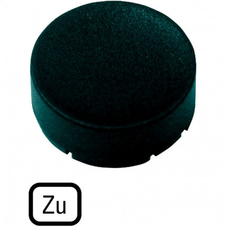 M22-XDH-S-D2 218229 Y7-218229 EATON ELECTRIC M22-XDH-S D2Q botão prato, levantou preto, AL