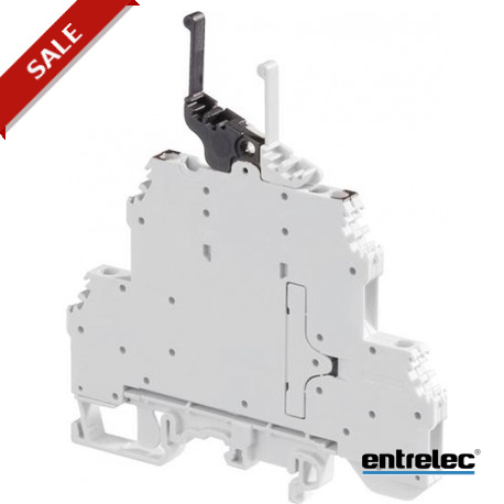 1SNA199448R0100 ENTRELEC Borna doble piso-seccion. M4/6.D2.2S2.T