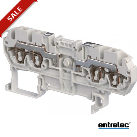 1SNA290001R0400 ENTRELEC Borna de paso D2.5/5.2L.2L