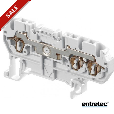 D2.5/5.3L 1SNA290031R2100 ENTRELEC Borna paso D 2.5/5.3L