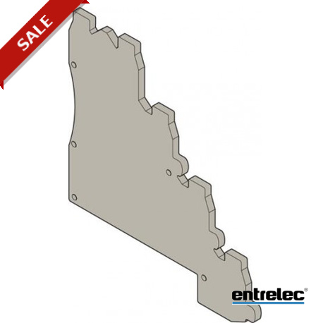 1SNA290360R2300 ENTRELEC Placa de cierre (D+I) FED5.C4.L