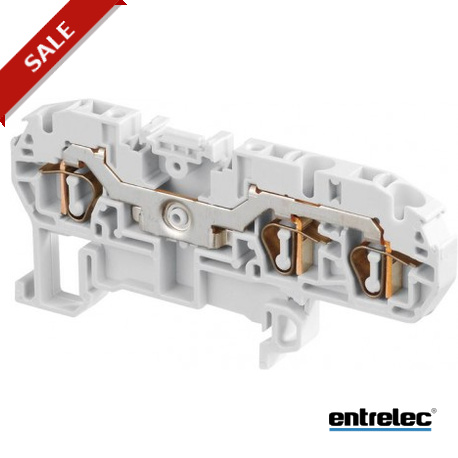 D4/6.3L 1SNA290405R0600 ENTRELEC Borna paso D 4/6.3L