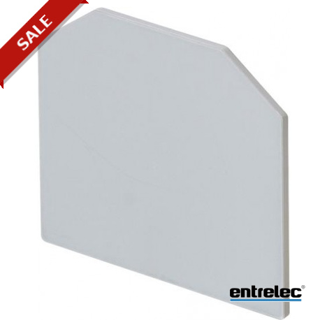 1SNA519004R0000 ENTRELEC Placa de cierre E-RGW6