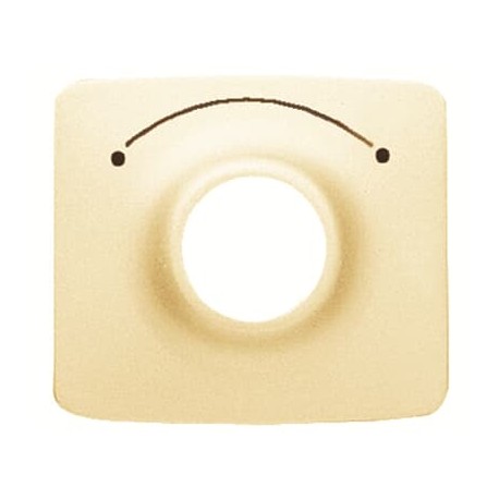 2CLA825300A1001 8253 BM NIESSEN TAPA CONMUTADOR LLAVE 2 POSIC
