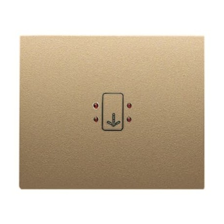 2CLA841400A1701 8414 AR NIESSEN 8414 passare carte AR copertina