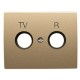 2CLA845000A1701 8450 AR NIESSEN 8450 AR-Abdeckung TV-R