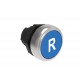 LPCB1176 LOVATO PUSHBUTTON ACTUATOR, SPRING RETURN, WITH SYMBOL Ø22MM PLATINUM SERIES, FLUSH, R / BLUE