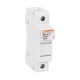 FB01B1P LOVATO 1P. Ohne Licht. 1 Modul