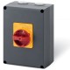 590.HEM2506 SCAME INT. DE MANIOBRA 25A 6P IP66 EMERGENCIA