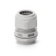 805.3345 SCAME PRESSE ETOUPE PG21