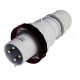218.63336 SCAME STECKER 2P+E IP66/IP67 63A 7h 480-500V AC