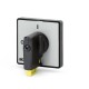 590.YM49B2 SCAME DISP.STANDARD Q.48MM NR/GR B/PORT. LUCCH