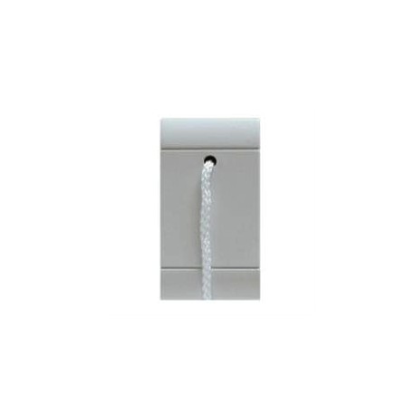 101.6331T.G SCAME TASTER 1P 10A SCHNUR-OPER.GRAU