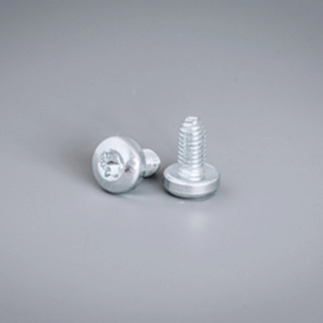 CNT06 ELDON Extrudierte Schrauben M6, Torx CNT06